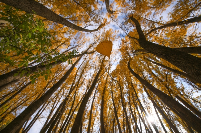 Günpınar Şelalesi her mevsim ayrı güzel